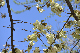 image0184