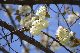 image0185