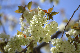 image0186