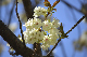 image0188