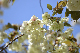 image0189