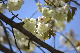 image0190
