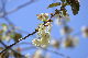 image0191