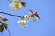 image0192