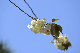 image0193