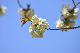 image0194