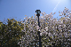 image0195