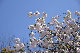 image0196