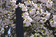 image0197