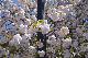 image0198