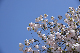 image0199