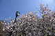 image0200