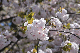 image0201