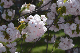 image0203