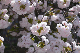 image0204