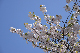 image0207