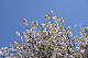 image0210