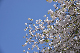 image0211