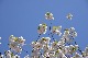 image0212
