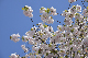 image0213