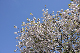 image0214