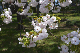 image0215