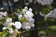 image0216