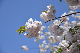 image0218