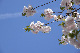 image0219