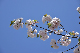 image0220