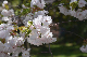 image0221