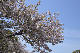 image0222