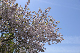 image0223