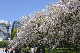 image0225