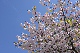 image0226