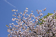 image0227