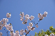 image0229