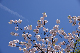 image0230