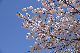 image0231