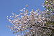 image0232