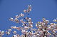 image0233