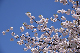 image0234