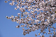 image0235