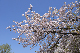image0236