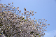 image0237