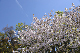 image0238