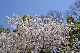 image0241