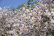 image0242