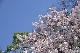 image0243