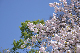 image0244